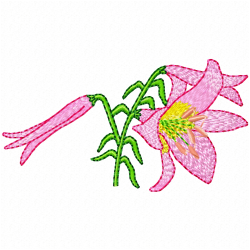 Flowers Embroidery Design 12